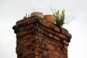 Chimney surveys